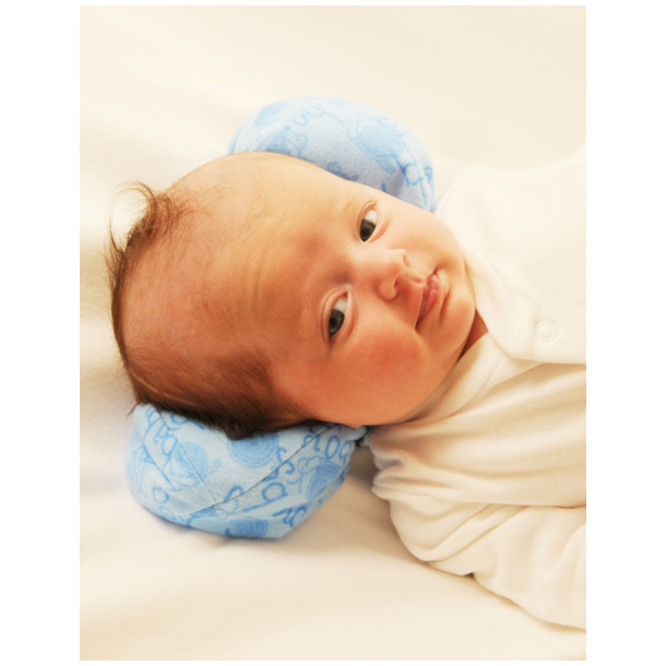 Peanut Pillow DMO Ortoser Birdhouse